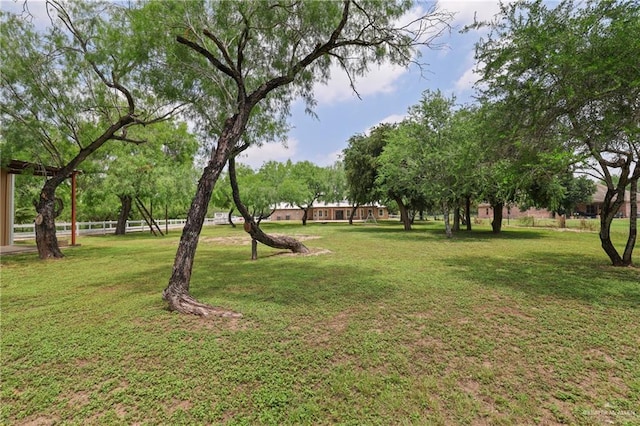 9325 W Mile 8 Rd, Mission, TX 78573 - view of green lawn