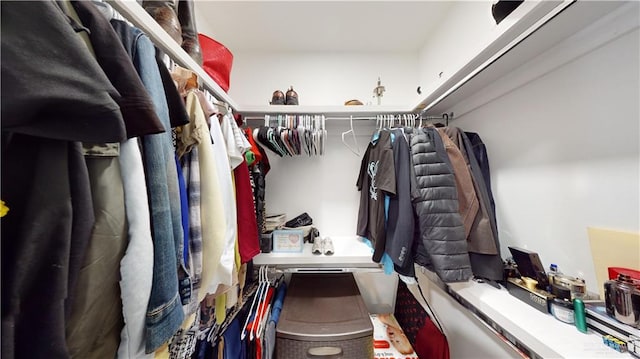 view of spacious closet