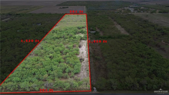 000 Western Rd, Edinburg TX, 78541 land for sale