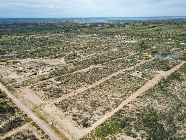 19 Vista Falcon Pvt Rd, Falcon Heights, TX 78545 - photo 20