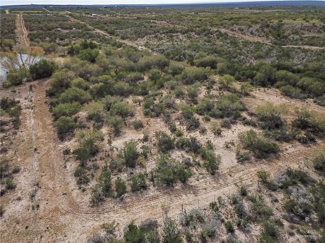 19 Vista Falcon Pvt Rd, Falcon Heights, TX 78545 - photo 14