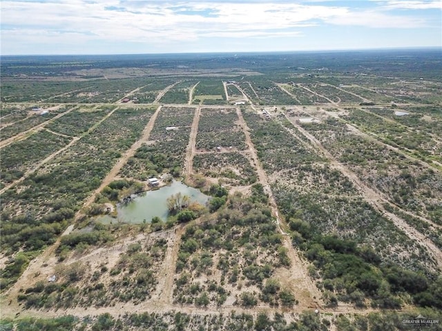 19 Vista Falcon Pvt Rd, Falcon Heights, TX 78545 - photo 24