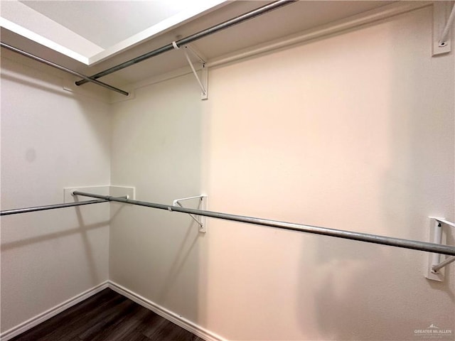 walk in closet featuring dark wood-type flooring