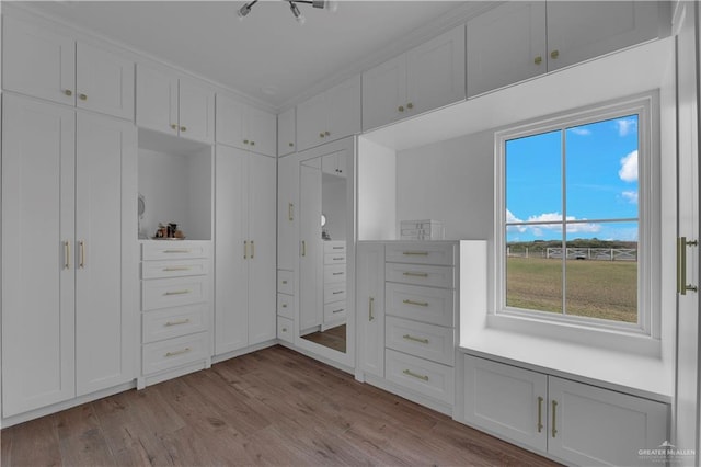 spacious closet with light wood-type flooring