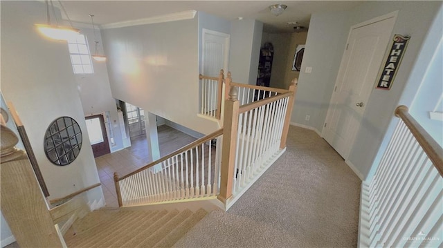 stairway featuring carpet flooring and ornamental molding