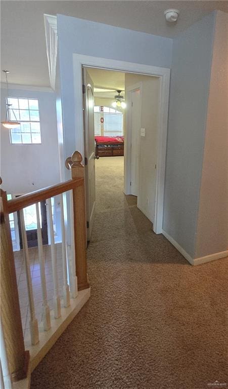 hallway with carpet floors