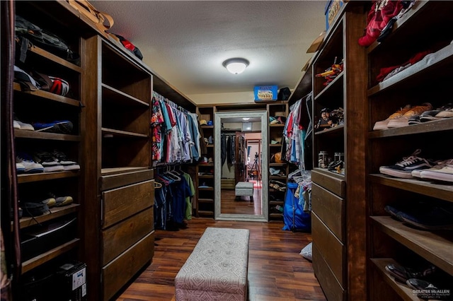 walk in closet with dark hardwood / wood-style floors