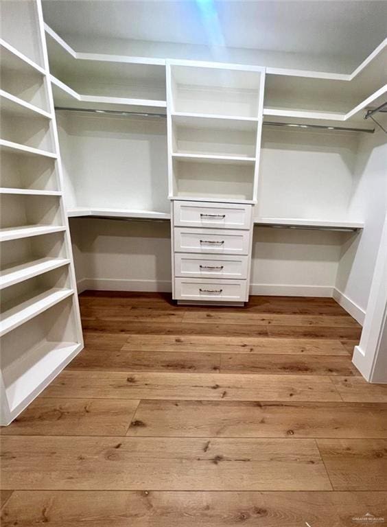 3417 Horizon Trl, Edinburg, TX 78541 - spacious closet with wood-type flooring