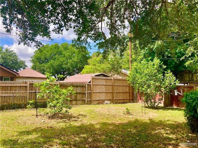 3713 Gonzalez Ln, Mcallen, TX 78504 - view of fenced backyard