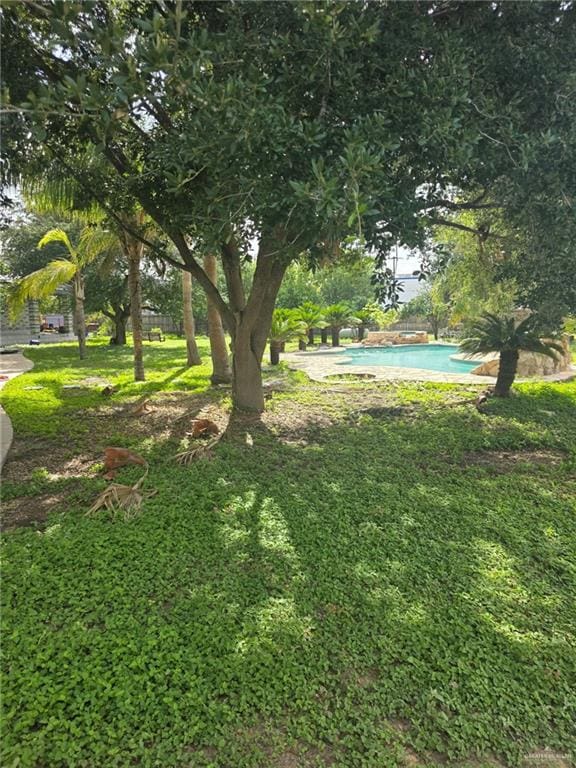 2210 W Monte Cristo Rd W, Edinburg, TX 78541 - view of green lawn featuring an outdoor pool