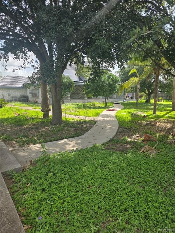 2210 W Monte Cristo Rd W, Edinburg, TX 78541 - view of green lawn