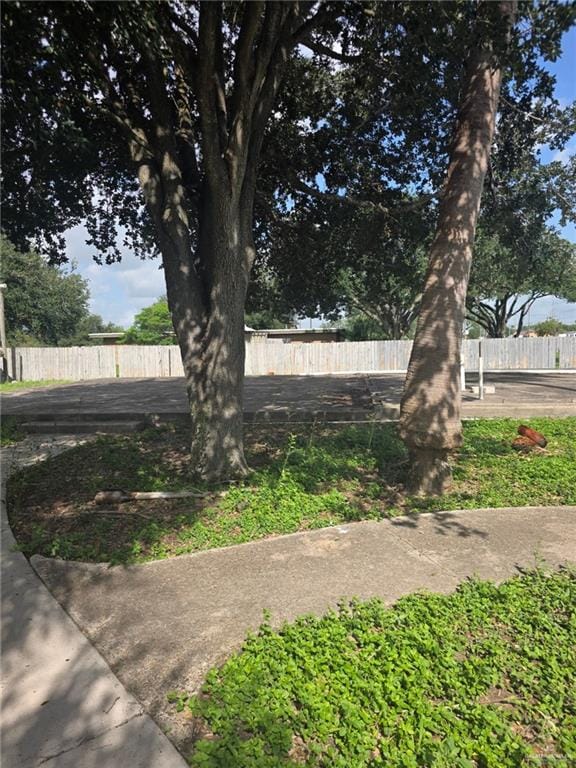 2210 W Monte Cristo Rd W, Edinburg, TX 78541 - view of yard