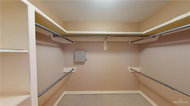 spacious closet with carpet flooring