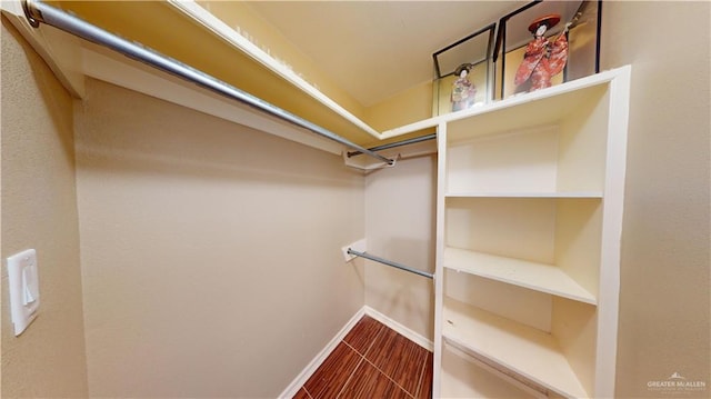 spacious closet featuring wood-type flooring