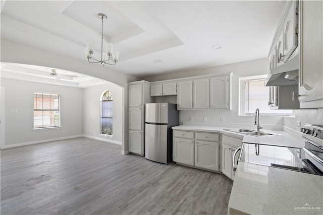 kitchen featuring a tray ceiling, a sink, stainless steel appliances, and light wood finished floors