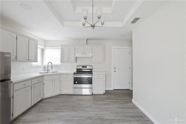 kitchen featuring a tray ceiling, stainless steel appliances, under cabinet range hood, a sink, and visible vents