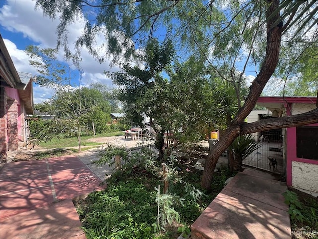 view of yard with a patio