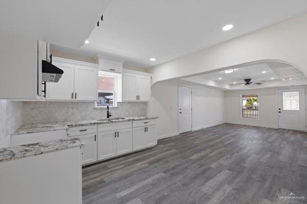 1311 Carlos Dr, Alamo, TX 78516 - kitchen featuring a ceiling fan, backsplash, white cabinetry, dark wood-type flooring, and open floor plan