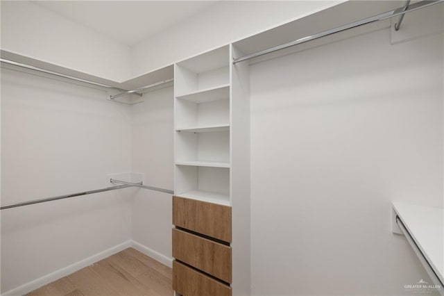 walk in closet featuring light wood finished floors