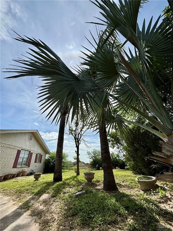 3217 Upas Ln, Mcallen, TX 78501 - photo 18