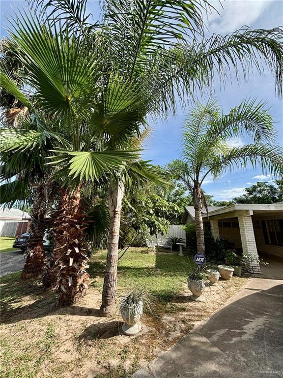 3217 Upas Ln, Mcallen, TX 78501 - photo 20