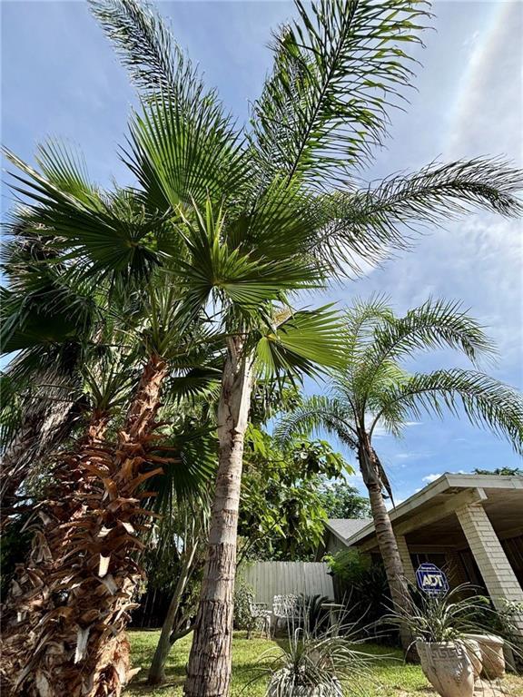 3217 Upas Ln, Mcallen, TX 78501 - photo 19