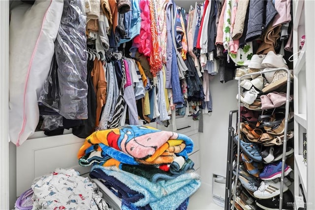 view of spacious closet