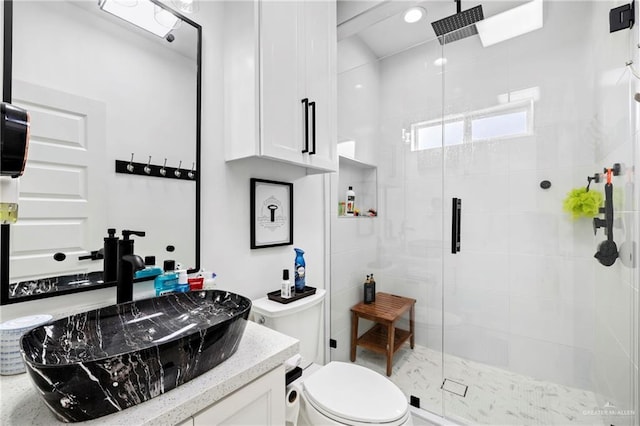 bathroom featuring vanity, toilet, and a shower stall