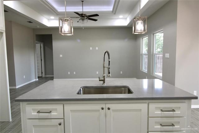 kitchen with a tray ceiling, white cabinetry, and sink