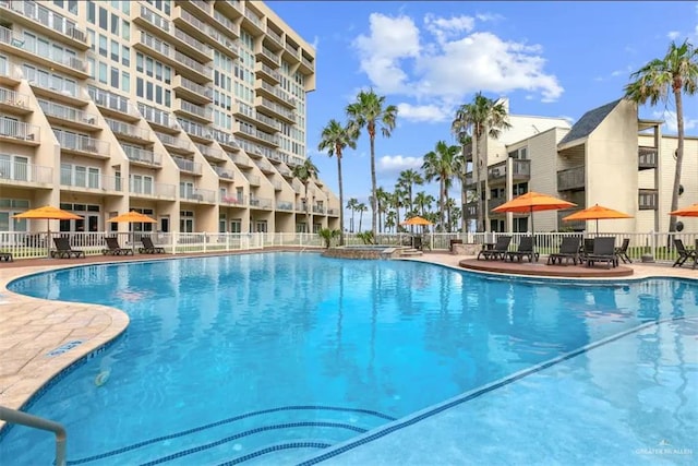 view of swimming pool with a patio