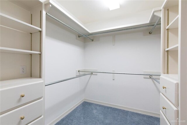 112 Saturn St, Mission, TX 78572 - spacious closet featuring carpet