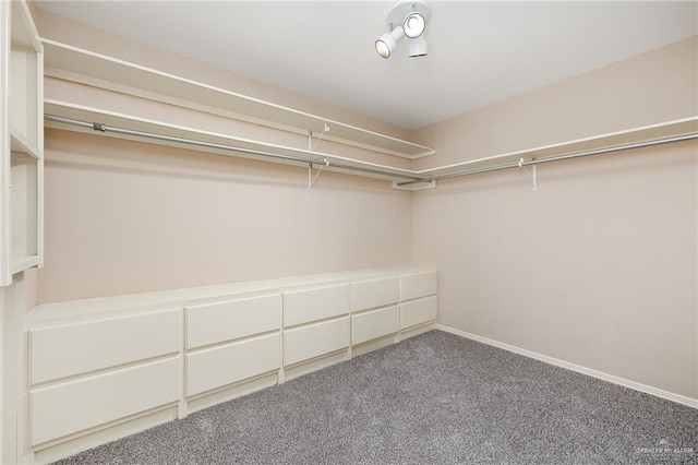 walk in closet with carpet flooring