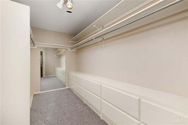 spacious closet featuring light colored carpet