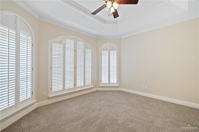 5501 N 1st Ln, Mcallen, TX 78504 - unfurnished room with a raised ceiling, plenty of natural light, carpet flooring, and crown molding