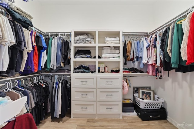 13801 N 37th St, Mcallen, TX 78504 - spacious closet featuring light wood-type flooring