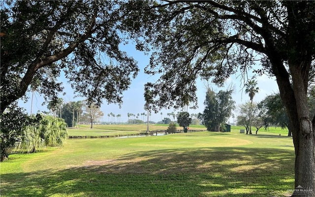 view of community with a lawn