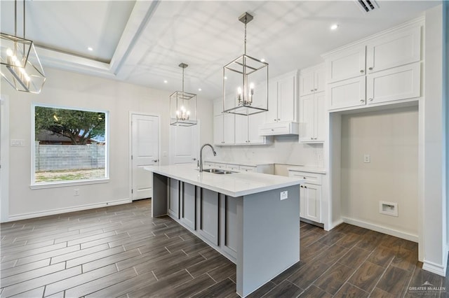 kitchen featuring under cabinet range hood, a center island with sink, a sink, and wood finish floors