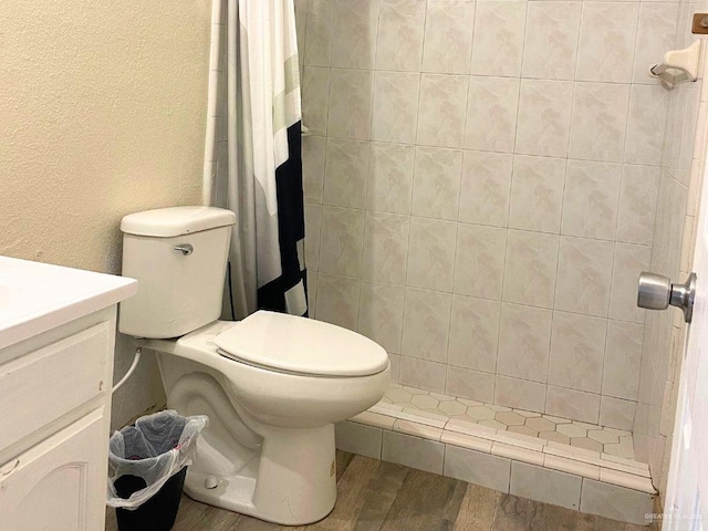 bathroom with toilet, a shower with curtain, and vanity