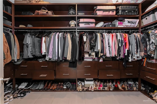 view of spacious closet