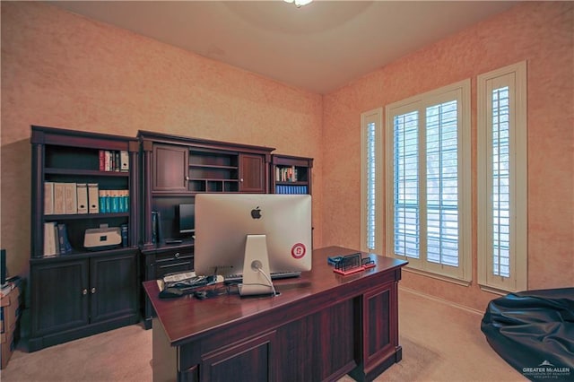 office featuring light colored carpet