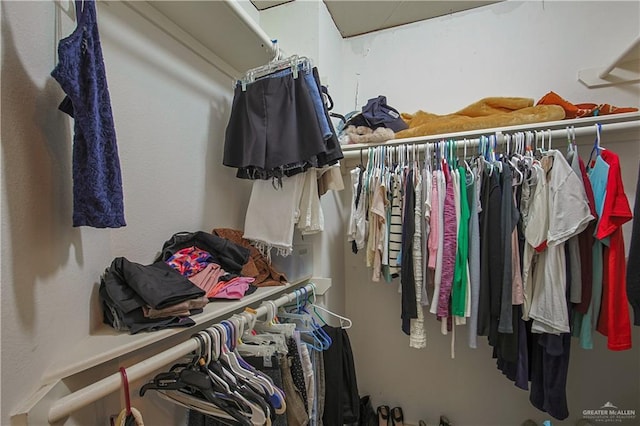 view of walk in closet