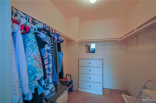 walk in closet with light carpet