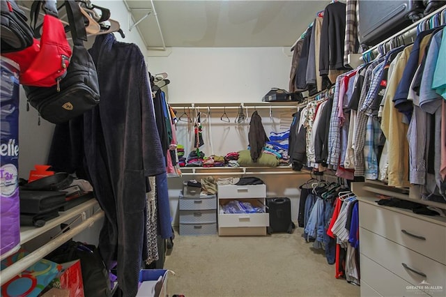 walk in closet featuring light carpet