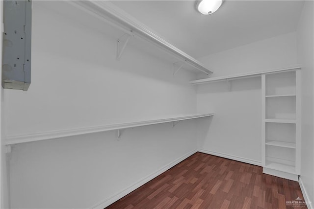 spacious closet with dark hardwood / wood-style floors