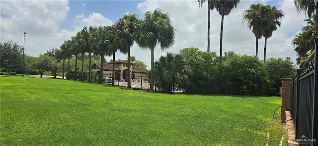 3808 Revilla St, Edinburg, TX 78542 - view of yard