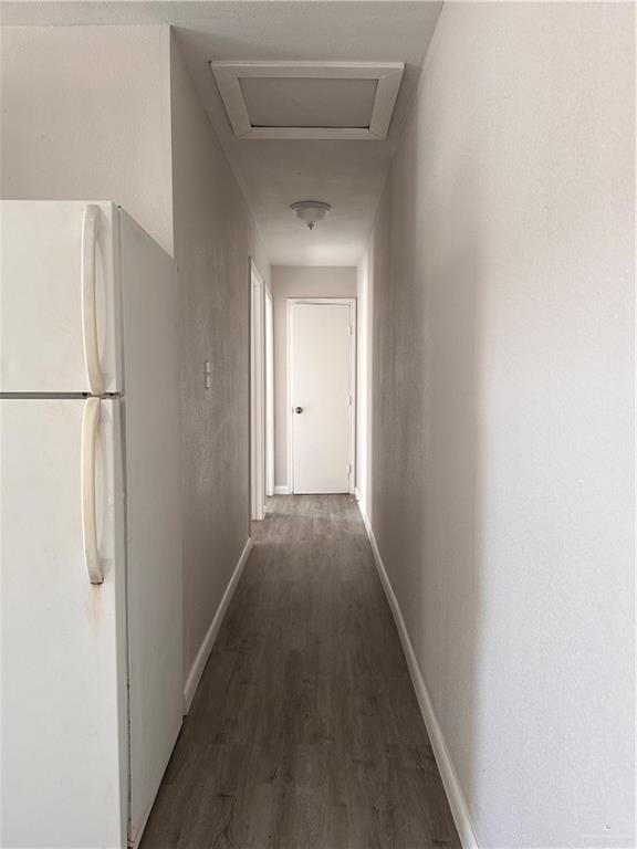 corridor with dark hardwood / wood-style flooring