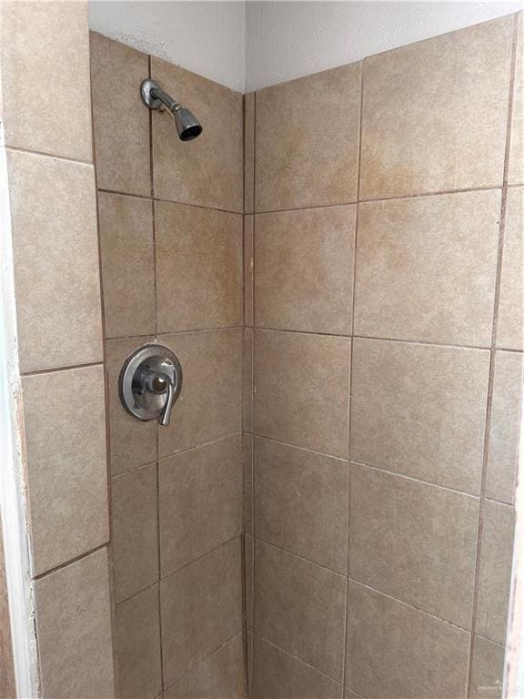 interior details featuring tiled shower