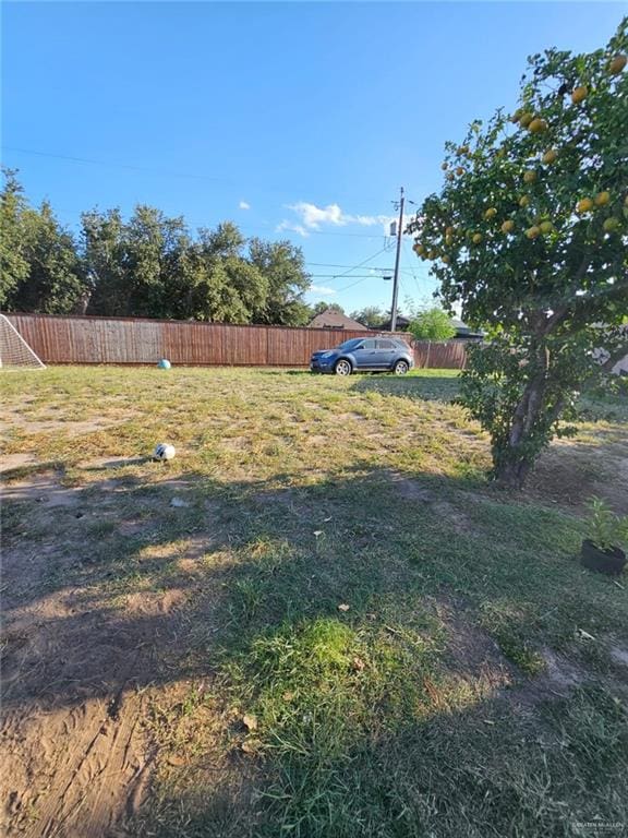 1502 Ruby St, Penitas, TX 78576 - photo 43