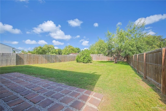 view of yard featuring a patio area