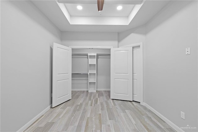 walk in closet with a raised ceiling and light hardwood / wood-style floors